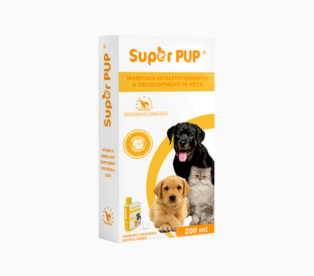 Super PUP 200ml syrup supplement for dog and cat recovery Sri Lanka